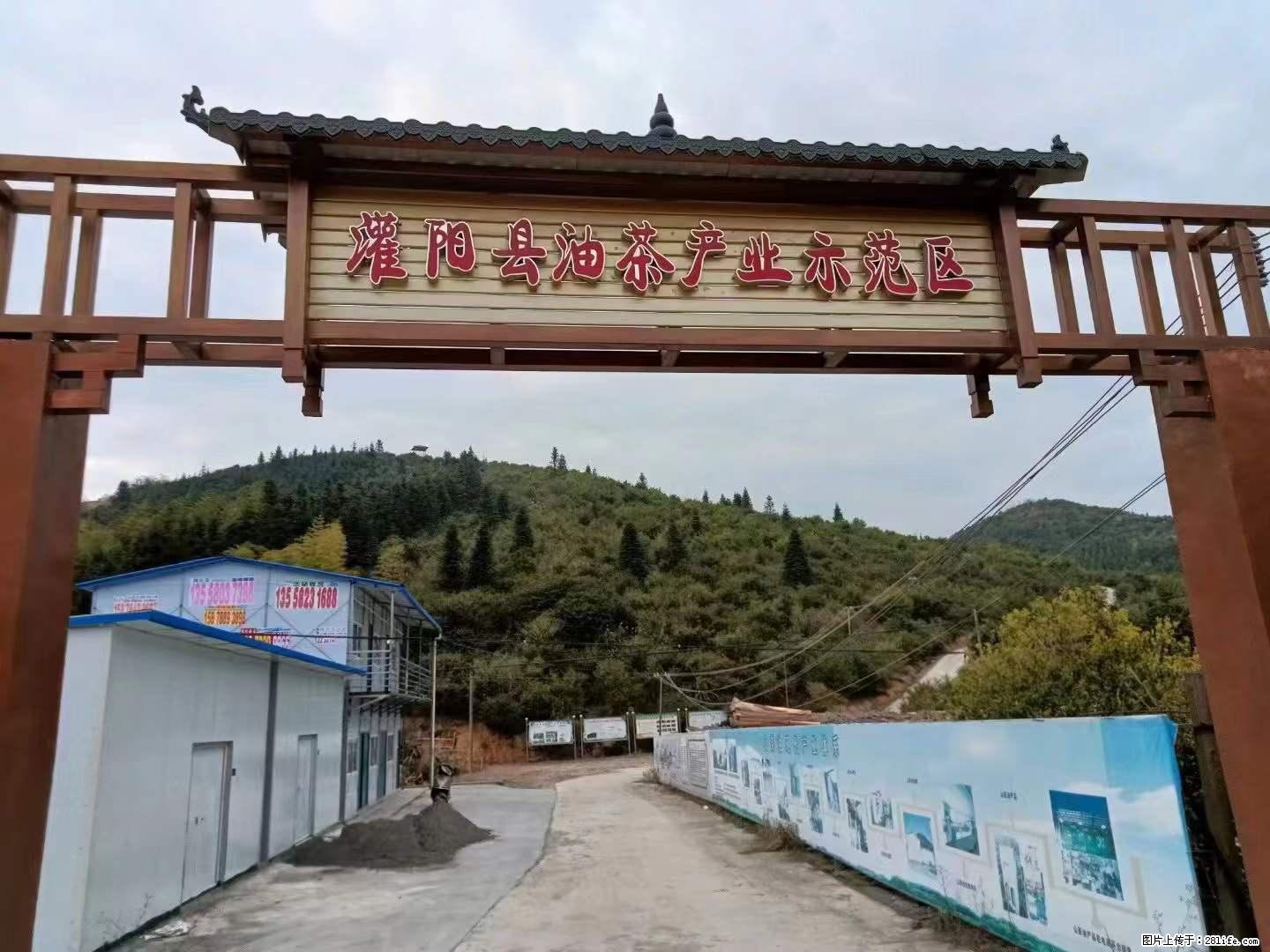 【灌阳县油茶产业示范区】一个有着充实的精神生活的人,对待身外之物自会有一种淡泊的态度 - 美食天地 - 保山生活社区 - 保山28生活网 bs.28life.com