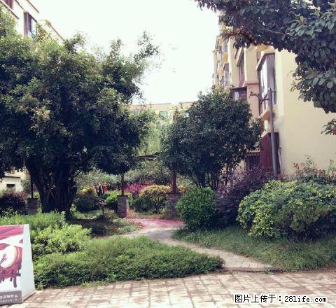 隆阳【金诺房产】 3室1厅113平米 精装修 面议 - 房屋出租 - 房屋租售 - 保山分类信息 - 保山28生活网 bs.28life.com