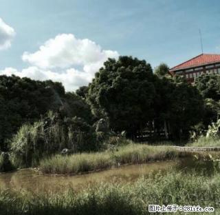 金诺房产北关小学附近单院 - 保山28生活网 bs.28life.com