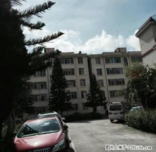 金诺房产九龙路4楼 - 保山28生活网 bs.28life.com