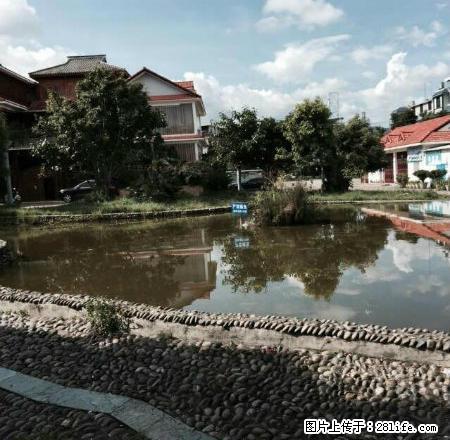 金诺房产同仁街住楼 - 房屋出租 - 房屋租售 - 保山分类信息 - 保山28生活网 bs.28life.com