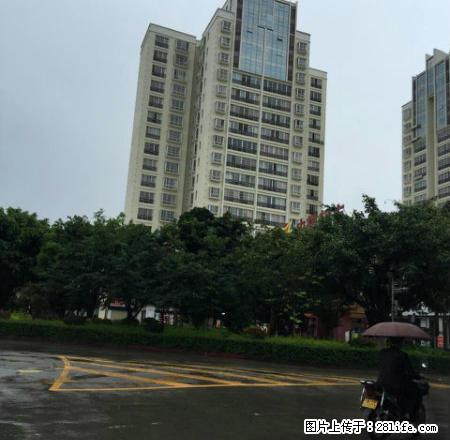 金诺房产学院安置房9楼 - 房屋出租 - 房屋租售 - 保山分类信息 - 保山28生活网 bs.28life.com