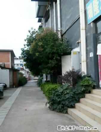 (单间出租)金诺房产双子座9楼 - 房屋出租 - 房屋租售 - 保山分类信息 - 保山28生活网 bs.28life.com