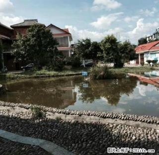 金诺房产同仁街住楼 - 保山28生活网 bs.28life.com