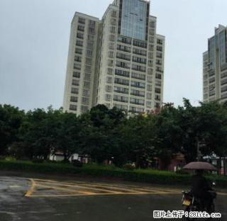 金诺房产学院安置房9楼 - 保山28生活网 bs.28life.com