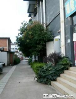 (单间出租)金诺房产双子座9楼 - 保山28生活网 bs.28life.com