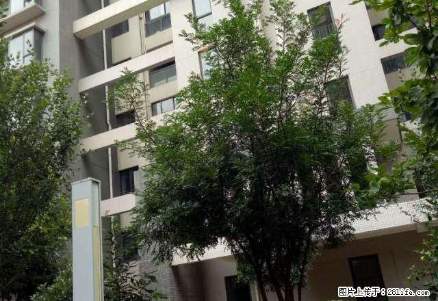妇联房产怡庭雅苑6楼3室带家具精装修 - 房屋出租 - 房屋租售 - 保山分类信息 - 保山28生活网 bs.28life.com