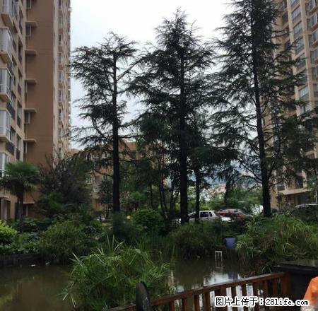 金诺房产铂金湾10楼 - 房屋出租 - 房屋租售 - 保山分类信息 - 保山28生活网 bs.28life.com