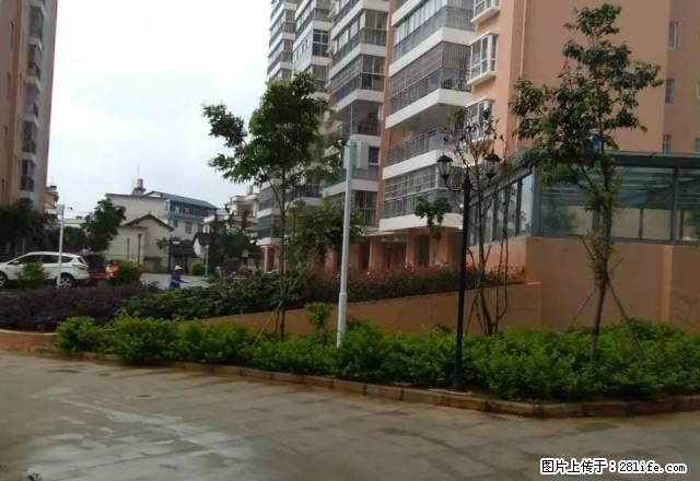 旺福房产 太保北路安置小区、新房,精装 - 房屋出租 - 房屋租售 - 保山分类信息 - 保山28生活网 bs.28life.com