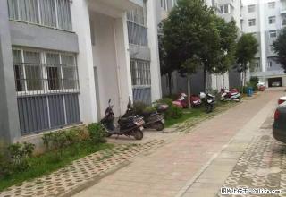 旺福房产、奥新三期、3室精装、拎包入住 - 保山28生活网 bs.28life.com