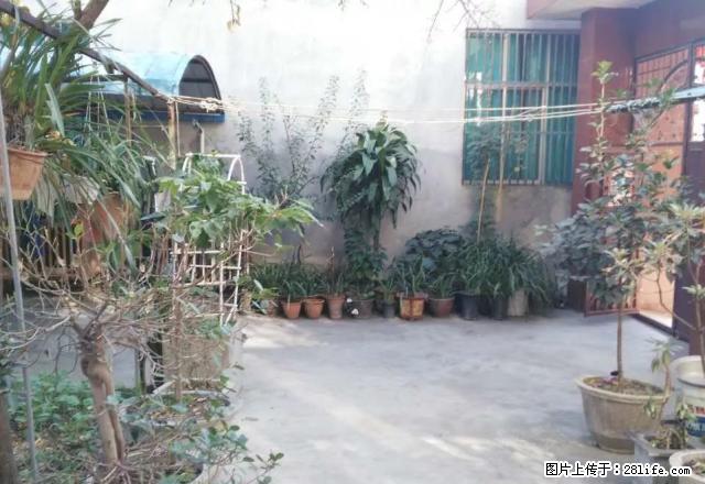 [妇联房产]四季经典北边单院出租占地3.4分院子大 - 房屋出租 - 房屋租售 - 保山分类信息 - 保山28生活网 bs.28life.com