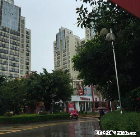 (单间出租)金诺房产红花小区9楼 - 房屋出租 - 房屋租售 - 保山分类信息 - 保山28生活网 bs.28life.com