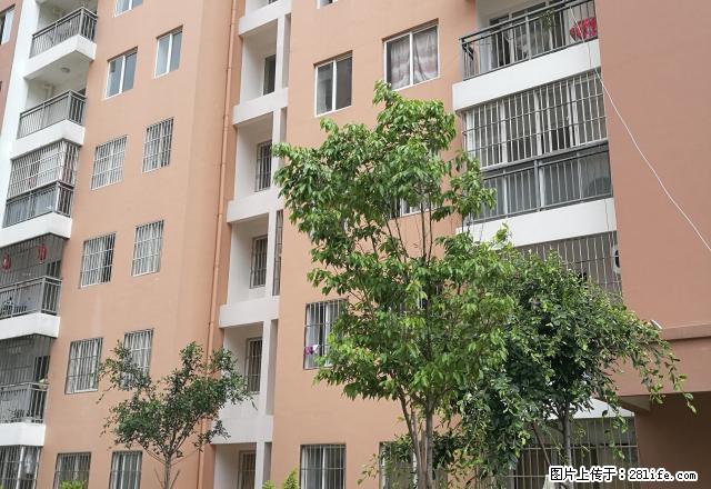 妇联房产太保北路安置小区9楼精装2室套房出租 - 房屋出租 - 房屋租售 - 保山分类信息 - 保山28生活网 bs.28life.com