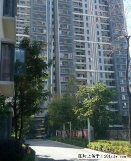 隆阳保山学苑旁安 2室1厅65平米 中等装修 半年付 - 保山28生活网 bs.28life.com