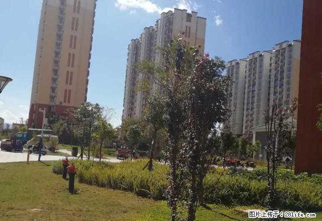 红花小区二期三室一厅一厨一卫 - 房屋出租 - 房屋租售 - 保山分类信息 - 保山28生活网 bs.28life.com