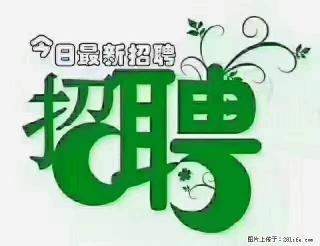 上海青浦区招仓管 - 保山28生活网 bs.28life.com