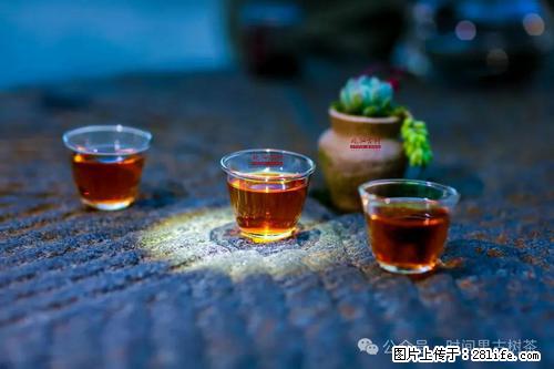 时间果百年古树2025年春红茶 - 购物交流 - 保山生活社区 - 保山28生活网 bs.28life.com