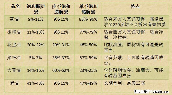 揭秘茶油的5大核心营养成分!被称为人体健康的“守护盾”! - 保山生活资讯 - 保山28生活网 bs.28life.com