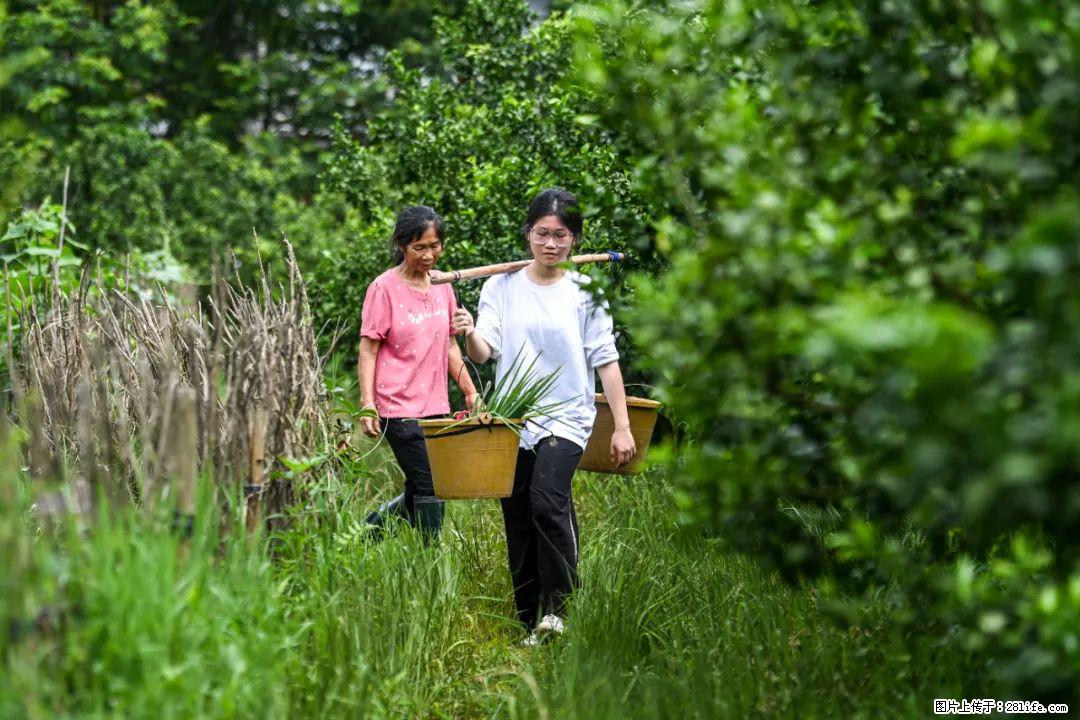 全网追的“扁担女孩”，找了一份暑假工，时薪12元 - 保山生活资讯 - 保山28生活网 bs.28life.com