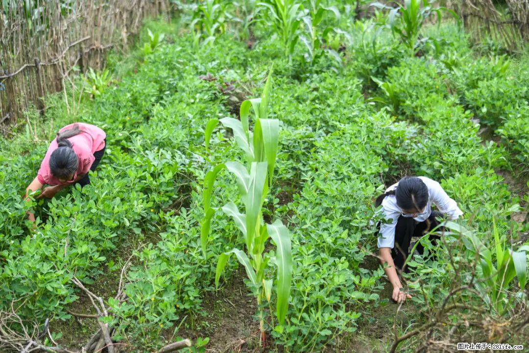 全网追的“扁担女孩”，找了一份暑假工，时薪12元 - 保山生活资讯 - 保山28生活网 bs.28life.com
