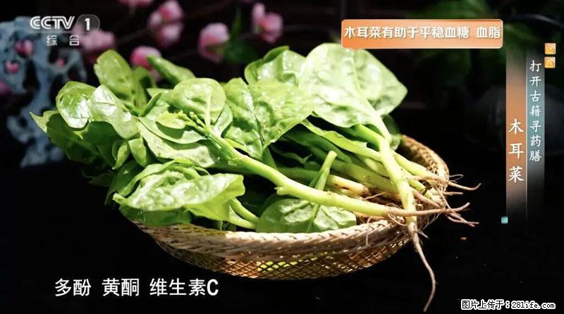 比牛奶补钙还厉害！凉血解毒、稳血糖...这菜冬天必吃，很多人却当草 - 保山生活资讯 - 保山28生活网 bs.28life.com