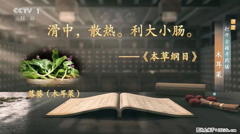 比牛奶补钙还厉害！凉血解毒、稳血糖...这菜冬天必吃，很多人却当草 - 保山生活资讯 - 保山28生活网 bs.28life.com