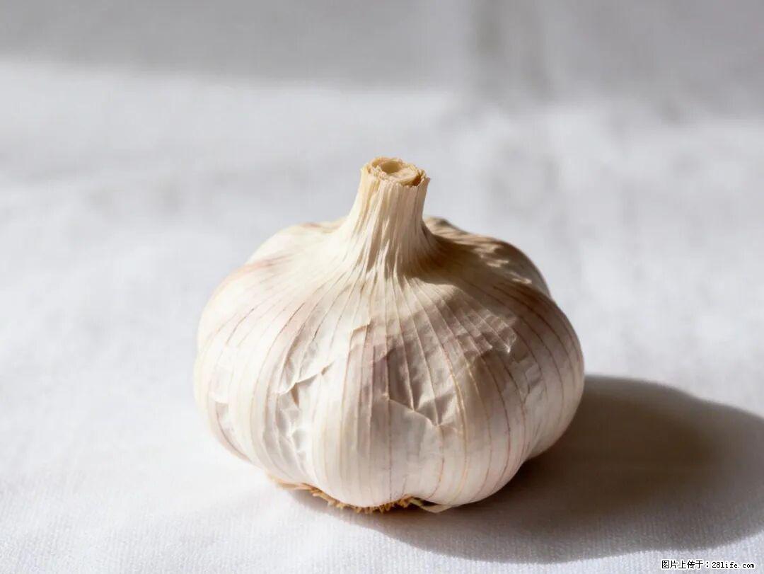 关于大蒜，除了“天然抗生素”，这4个谣言更该警惕! - 保山生活资讯 - 保山28生活网 bs.28life.com