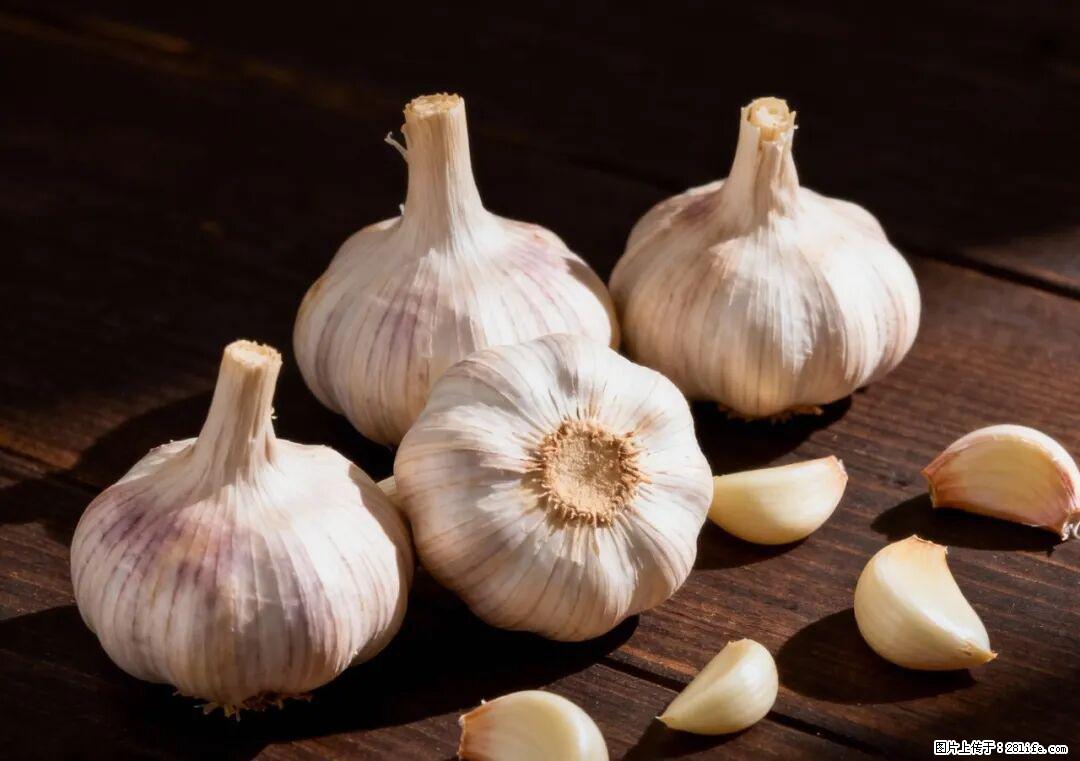 关于大蒜，除了“天然抗生素”，这4个谣言更该警惕! - 保山生活资讯 - 保山28生活网 bs.28life.com