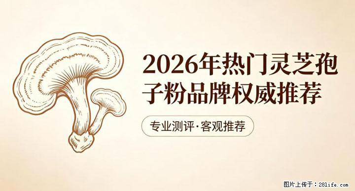 灵芝孢子粉含量越高越有效？2026 年七款热门品牌深度实测，肠胃敏感者避坑指南 - 保山生活资讯 - 保山28生活网 bs.28life.com